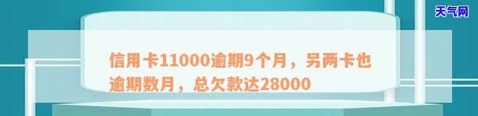 信用卡11000逾期9个月，其他信用卡也存在长期未还情况