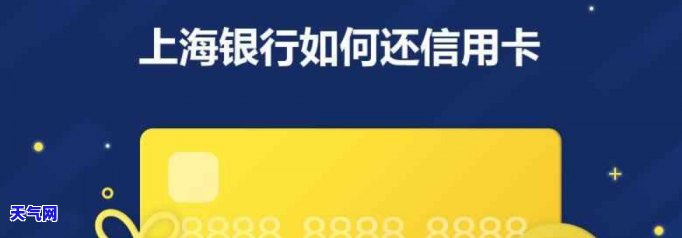 上海银行信用卡能否还美金？还款方式是什么？