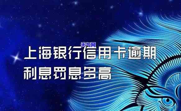 上海银行信用卡能否还美金？还款方式是什么？