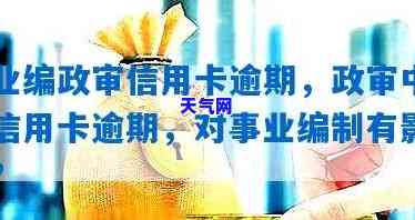 政审是否仍会查看信用卡记录？现在的审查方式是什么？