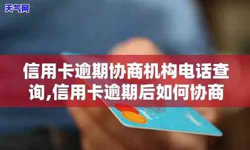 昆明信用卡逾期协商公司地址电话查询及联系方式