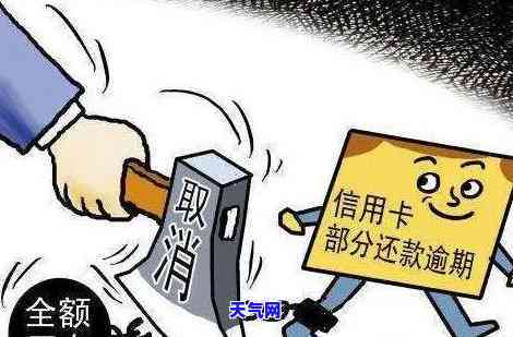 泉信用卡逾期人员：最新汇总及处理措