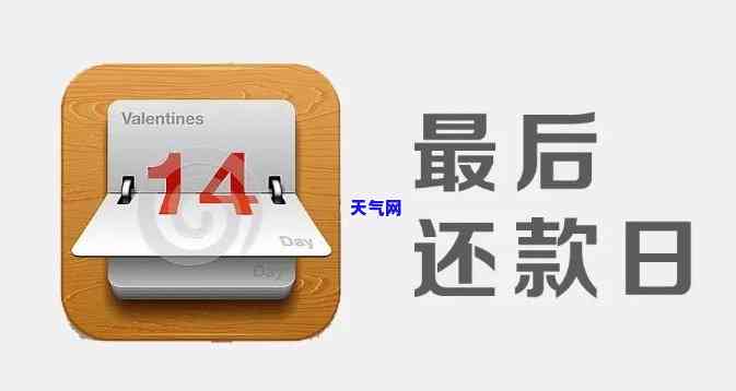 小象是怎么代还信用卡，揭秘：小象是如何帮助你还清信用卡债务的？