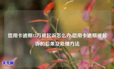 信用卡欠13万会被起诉吗知乎，信用卡欠款13万是否会面临诉讼？——知乎上的讨论