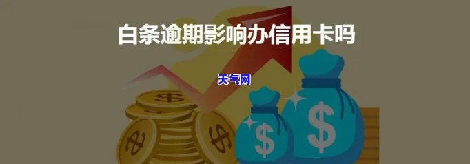 白条信用卡逾期-白条信用卡逾期了怎么办