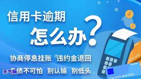 我办的信用卡分期,可以提前一次性还完吗，信用卡分期还款：能否提前一次性还清？