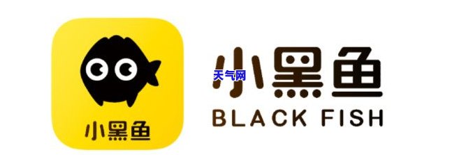 小黑鱼会员代还信用卡-小黑鱼会员代还信用卡是真的吗