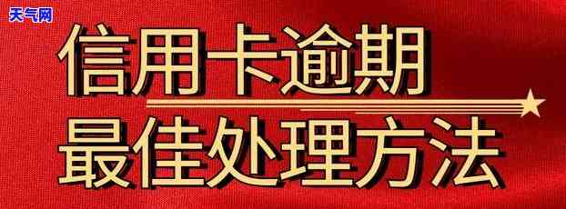 如何解决姐姐信用卡逾期问题？请提供详细信息。