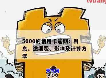 信用卡500逾期-信用卡500逾期会上吗?