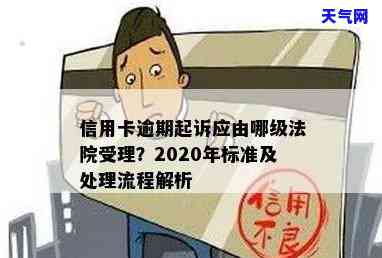 2020年信用卡起诉标准，揭秘2020年信用卡起诉标准，你必须知道的法律常识