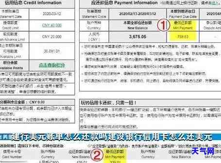 建行信用卡美元账单怎么还-建行信用卡美元账单怎么还款