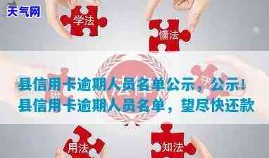 潼关信用卡逾期人员，公布！潼关县信用卡逾期人员出炉