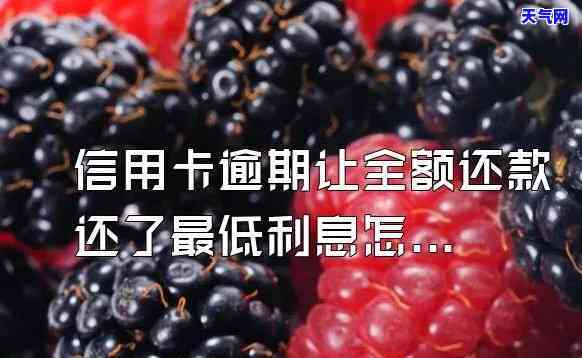 还信用卡赚佣金：真实合法还是违法行为？