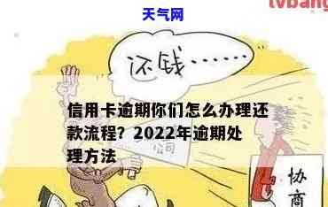 2022年信用卡逾期处理步骤全解析：流程、图解与注意事