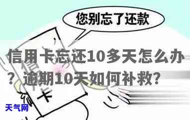 信用卡忘还10天咋办-信用卡忘还10天咋办呢