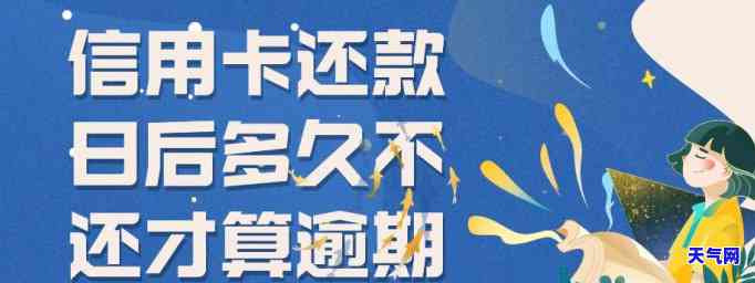 常德市代还信用卡服务：专业、便捷，解决您的还款难题！