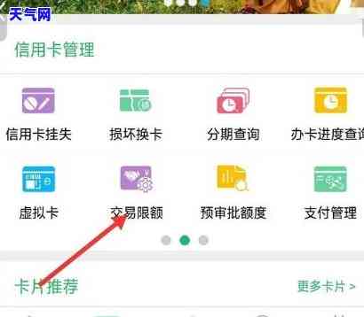 钱包丢失后如何通过微信偿还信用卡？