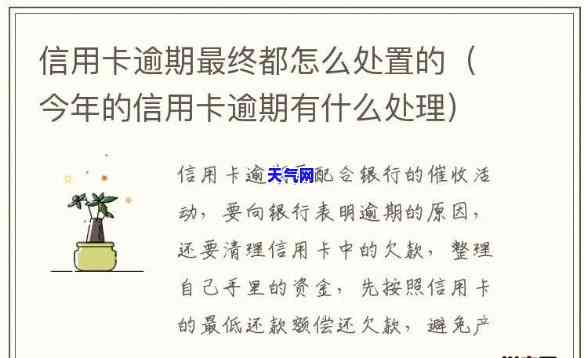 办信用卡逾期走什么流程，详解信用卡逾期后的处理流程