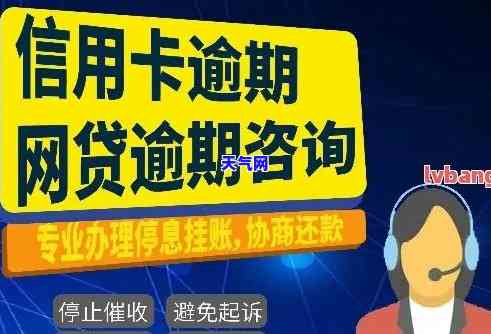 楚雄信用卡代还电话查询：获取最新联系方式与服务信息