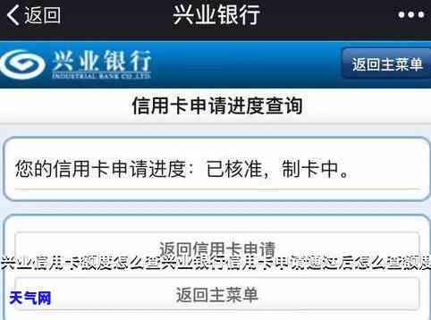 兴业信用卡支付全额还款：操作流程、常见问题及解决方法