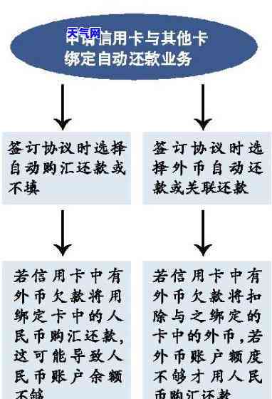 能否偿还信用卡？详细操作步骤解析