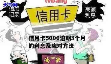 信用卡5000逾期一个月会产生多少费用？包括利息和罚款。