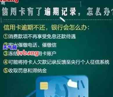 2020年信用卡逾期下半年最新政策8月份，解读2020年信用卡逾期下半年最新政策：8月版