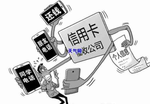 信用卡与网贷-信用卡与网贷的区别