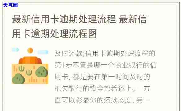 办信用卡逾期走什么流程，信用卡逾期处理流程全解析