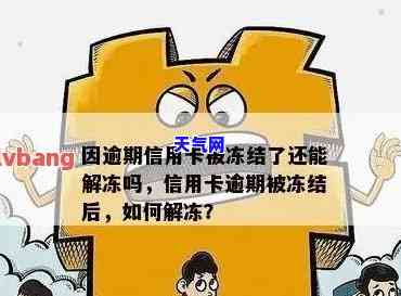 逾期还款信用卡：被冻结后如何解除？将面临哪些影响？