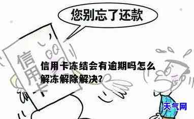 因逾期信用卡被冻结了，如何解冻？