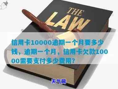 还信用卡10000一个月手续费多少钱，如何计算每月偿还10000元信用卡的手续费？