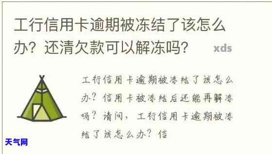 信用卡逾期还冻结了储蓄卡-信用卡逾期还冻结了储蓄卡怎么办