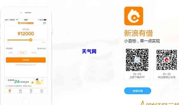 新浪钱包借钱还信用卡-新浪钱包借钱还信用卡可以吗