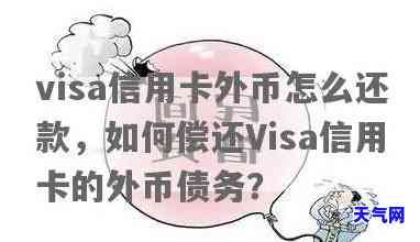 还visa信用卡美元还款-还visa信用卡美元还款怎么还