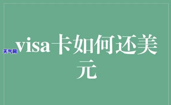 还visa信用卡美元还款-还visa信用卡美元还款怎么还