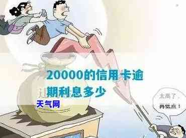 还信用卡20000元手续费多少合适？