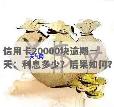 20000元信用卡怎么还-两万的信用卡怎么还