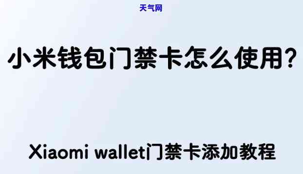 小米钱包不能还信用卡吗-小米钱包不能还信用卡吗怎么办