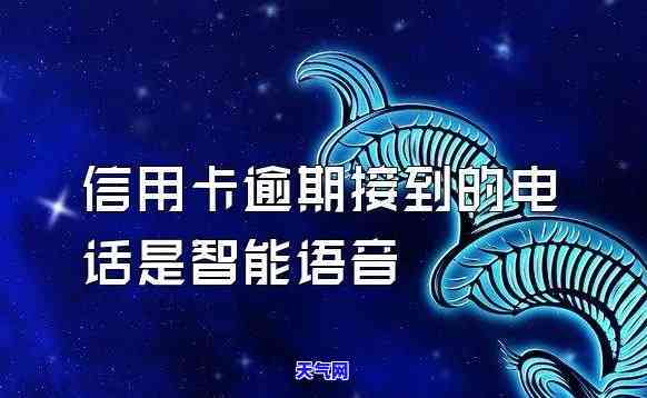电话信用卡语音-电话信用卡语音提醒