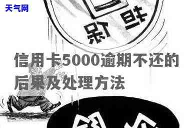 建行信用卡5000欠四年：利息多少？如何解决？