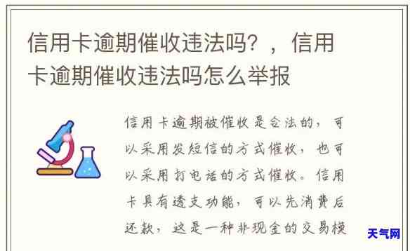 信用卡公司开办是否违法？如何举报？