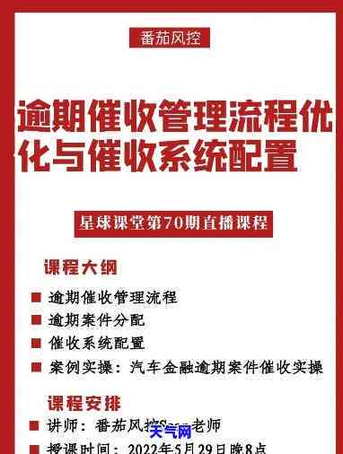 中行公司，深入了解中行公司：服务、流程与注意事