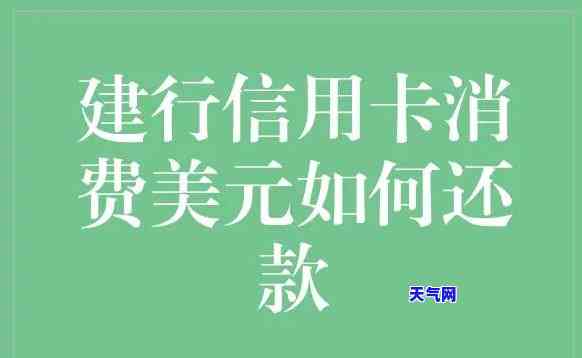 建行信用卡怎么还元-建行信用卡怎么还元的钱