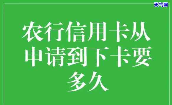 农行借记卡不能还信用卡吗，疑问解答：农行借记卡能否用于偿还信用卡？