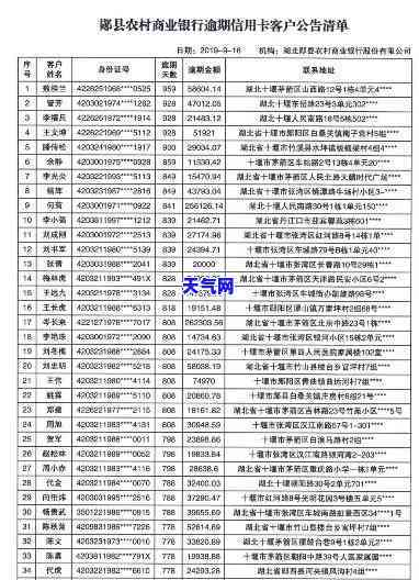 茂名信用卡机构全览：公示与查询一网打尽