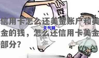 发信用卡还美金账号怎么还，如何向发信用卡的美元账户还款？