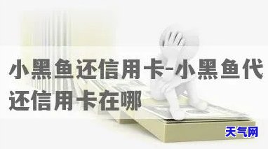 小黑鱼额度只能还信用卡-小黑鱼还款怎么没了