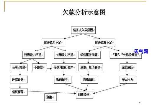 不良信用卡案例深度分析报告