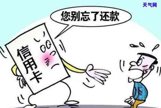 农业信用卡员的主要职责是什么？